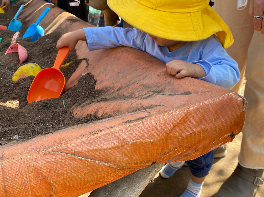 Granja Interactiva Fundo San Vicente-Lurin必去景点