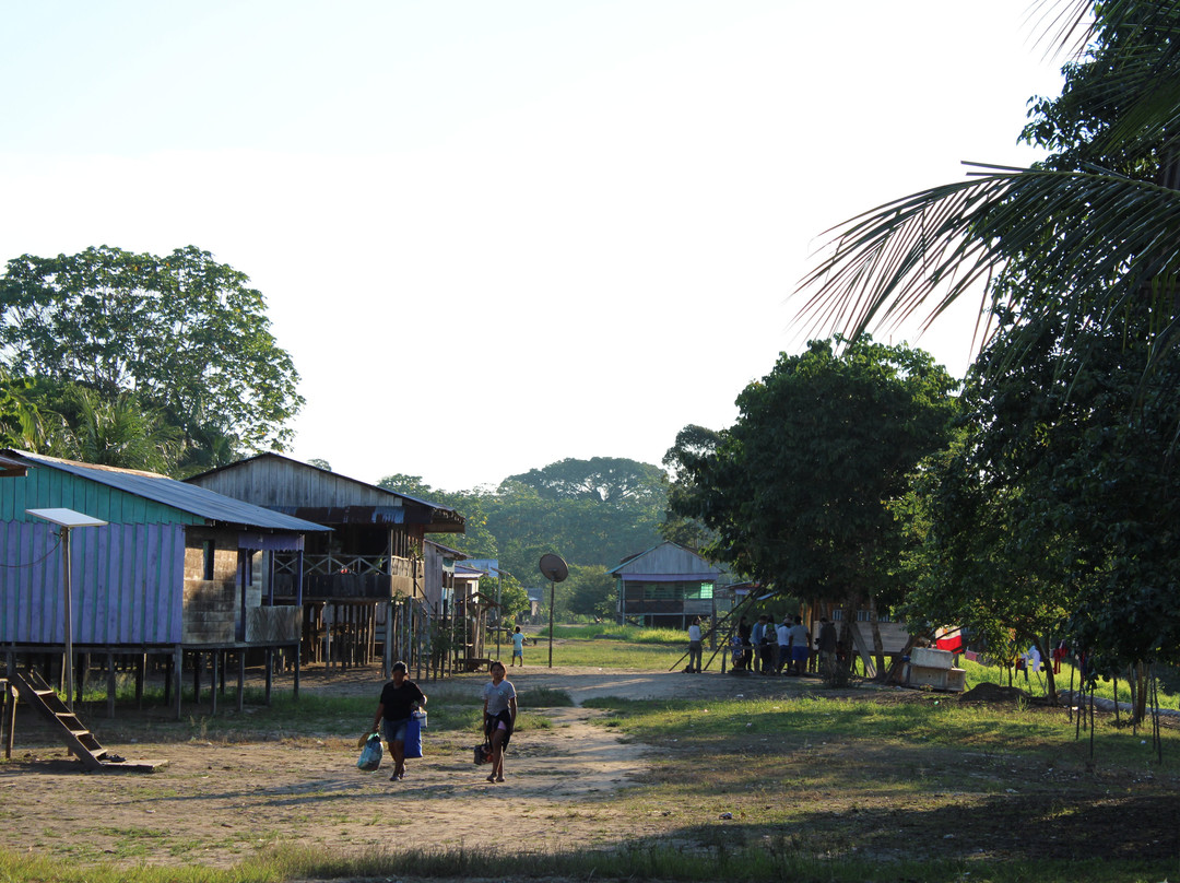 Expeditions George of the Jungle-莱蒂西亚必去景点