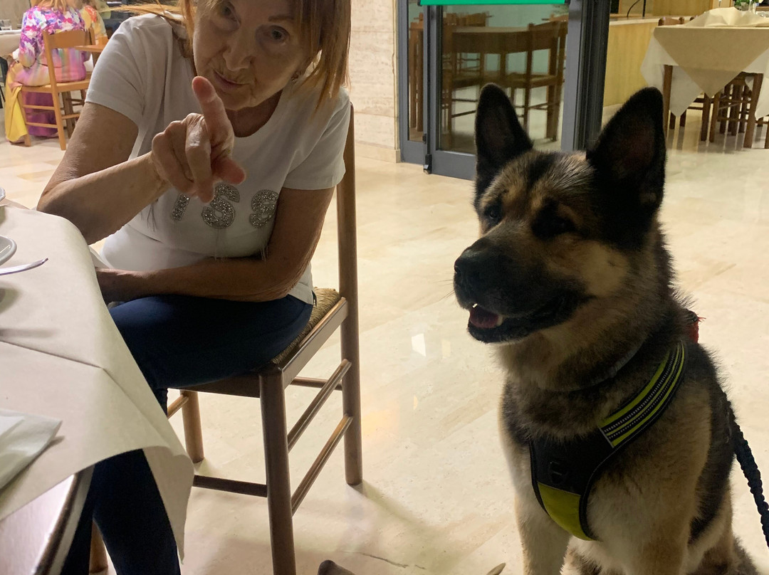 Albergo Cri Cri主图