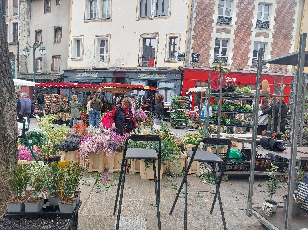 Marché des Lices-雷恩必去景点