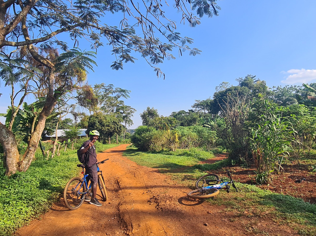 Bikeventures Tours and Rentals-金贾必去景点