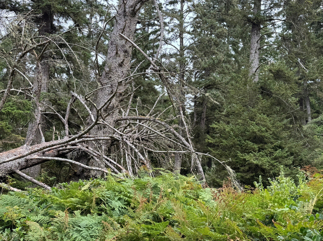 Kwisitis Visitor Centre-尤克卢利特必去景点