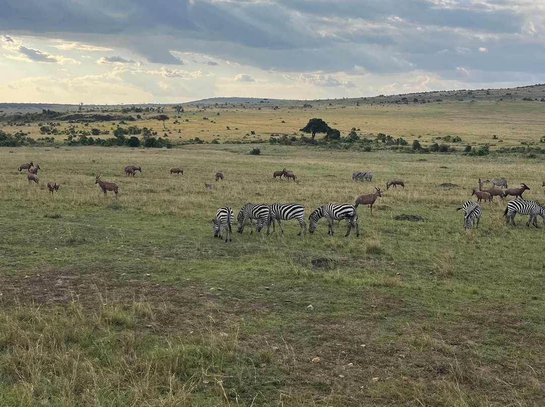 Lenchada Safaris-内罗毕必去景点