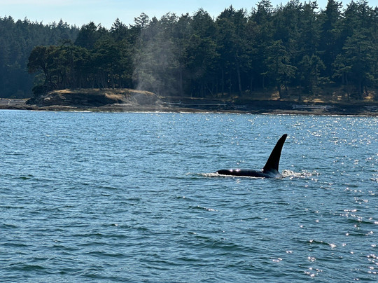 All Aboard Sailing-星期五港湾必去景点