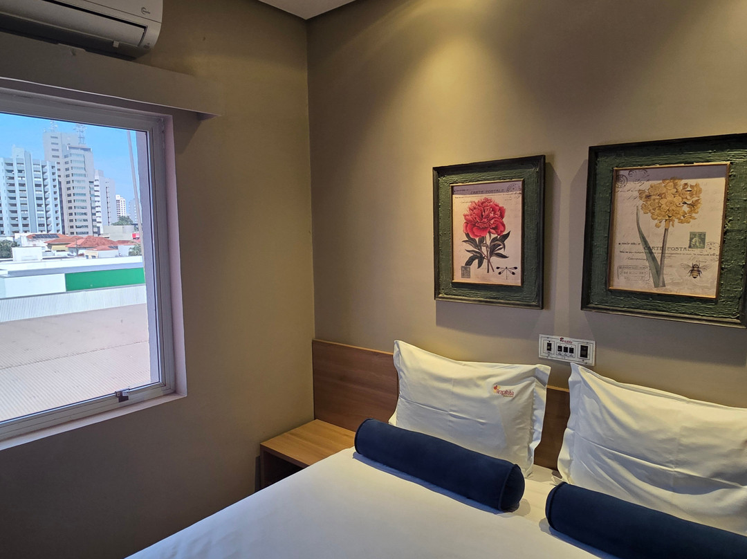 Aracatuba Plaza Hotel主图