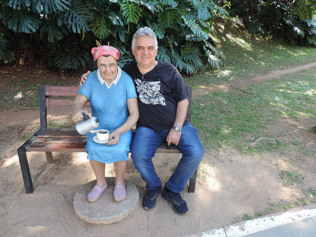 Parque Municipal Cachoeira do Salto-Extrema必去景点