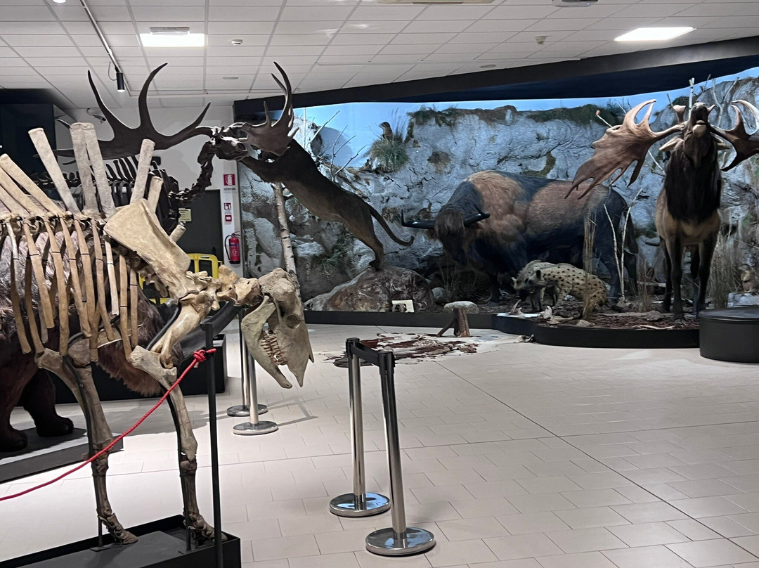 Museo della Preistoria Luigi Donini-萨韦纳河畔圣拉扎罗必去景点