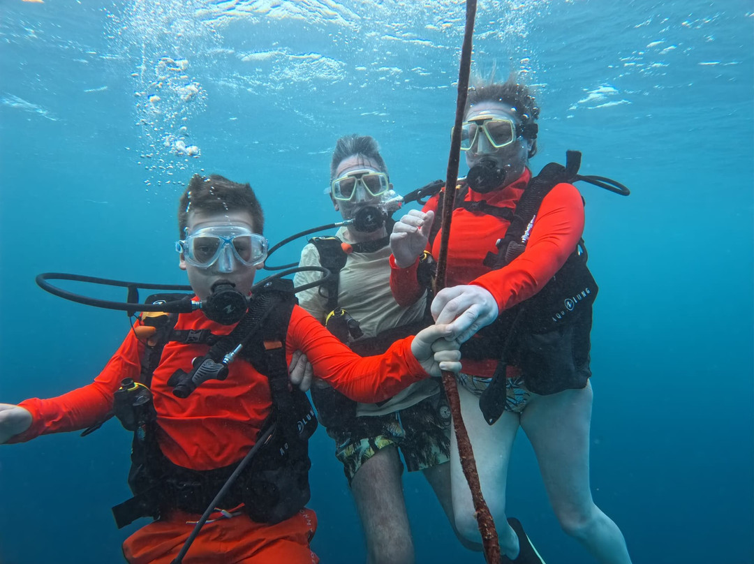 Dive Club Furaveri-Furaveri必去景点