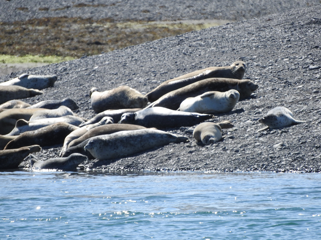 Coldwater Alaska-荷马必去景点