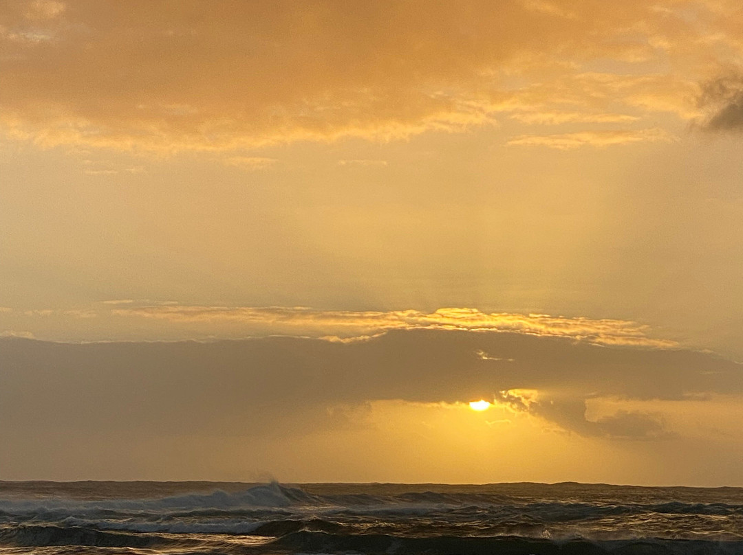 Zourit Ecole De Surf-Etang Sale Les Bains必去景点