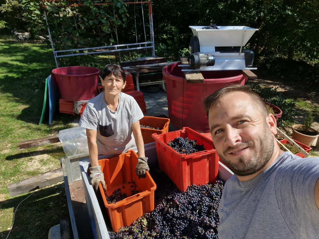 La Vie Winery-Kringa必去景点