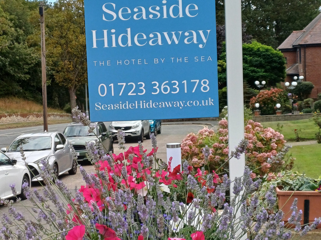 Alexander Hotel - Seaside Hideaway主图