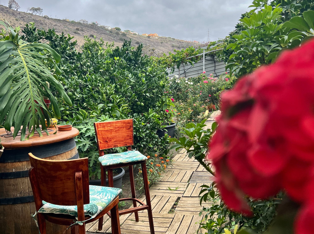 Handmade Tours.-大加那利岛拉斯帕尔马斯必去景点