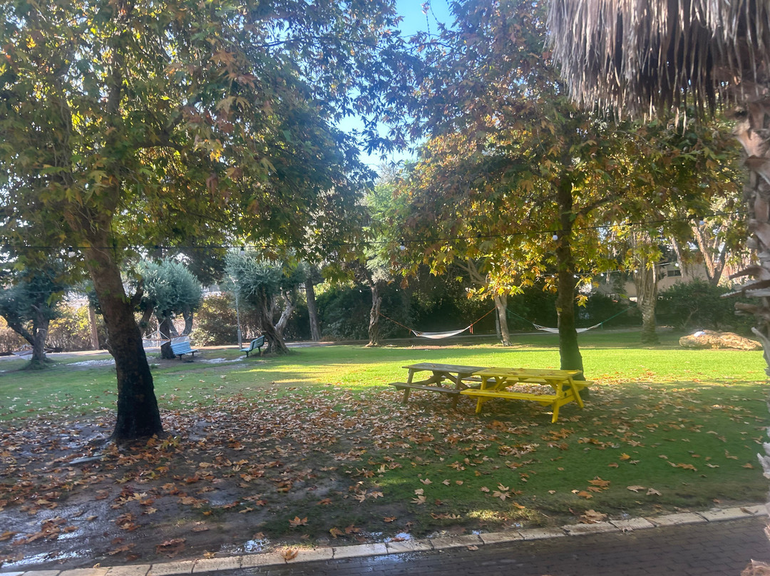 Hotel Eden Inn主图