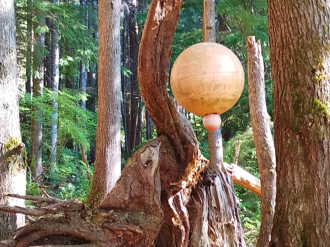 Charlie Hartie Creek Trail-Daajing Giids必去景点