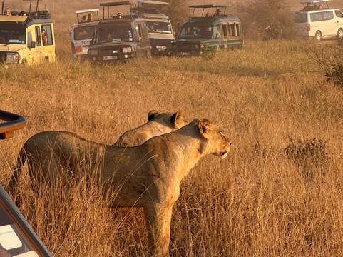 Kenya con Abdul-马林地必去景点
