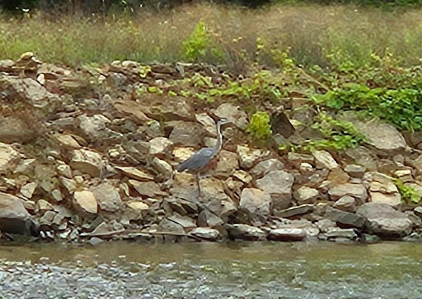 Pride Of Oregon Paddlewheeler-Oregon必去景点