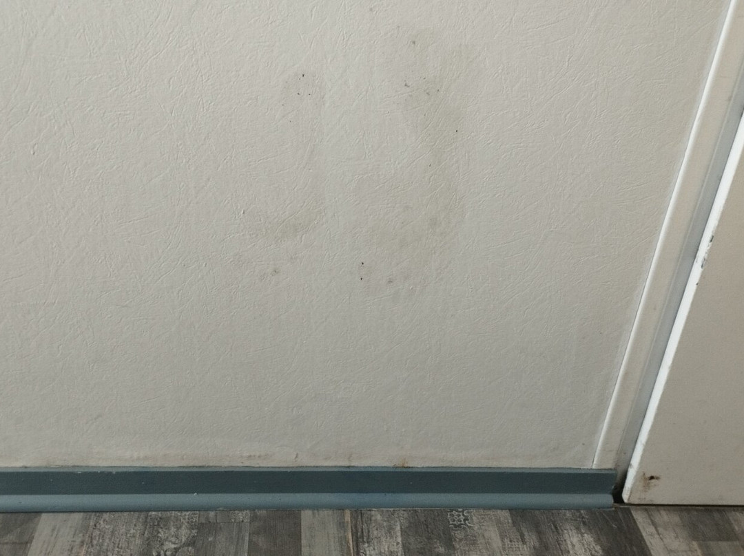 北图尔法斯特酒店主图