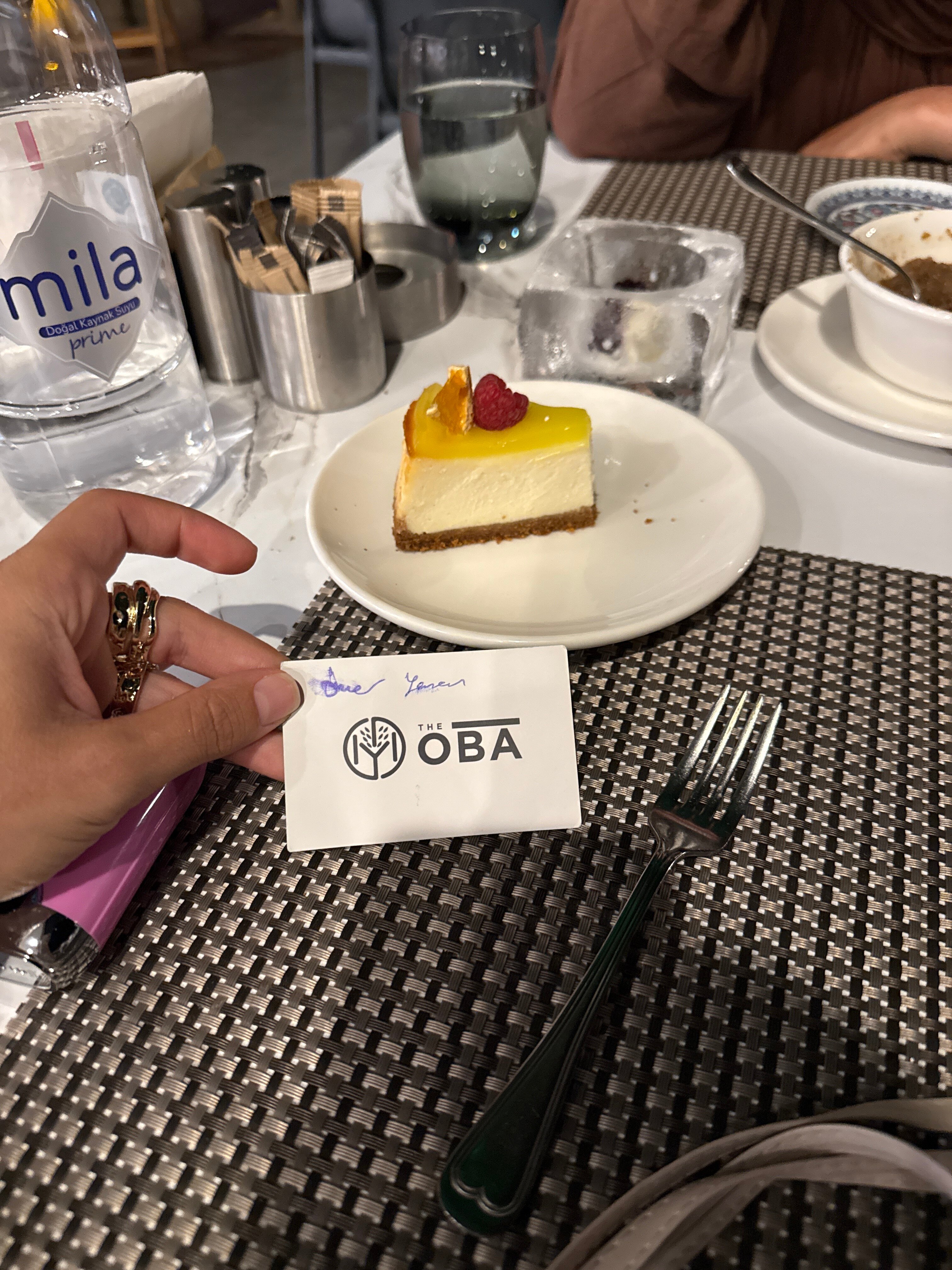 The Oba Hotel Torba-官方