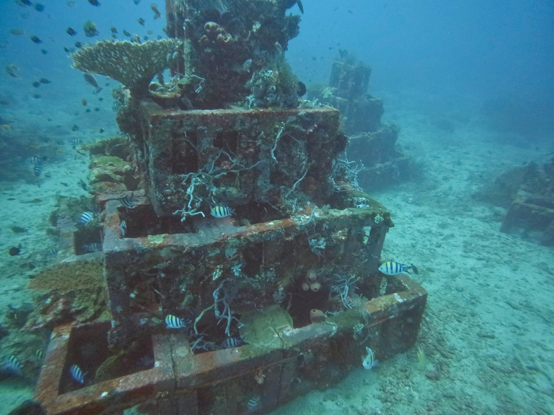Abyss Dive Center Bali-艾湄湾必去景点