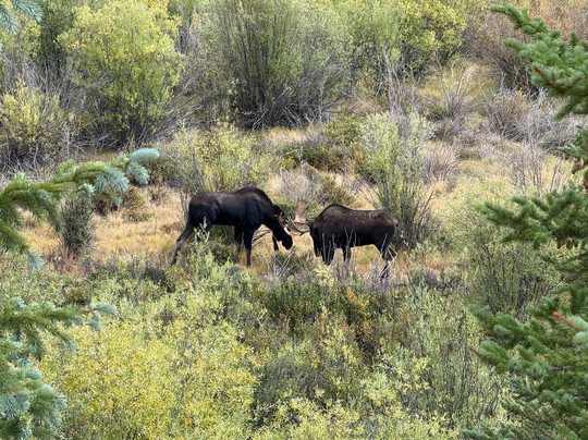RIO EPIC Outfitters-杜兰戈必去景点