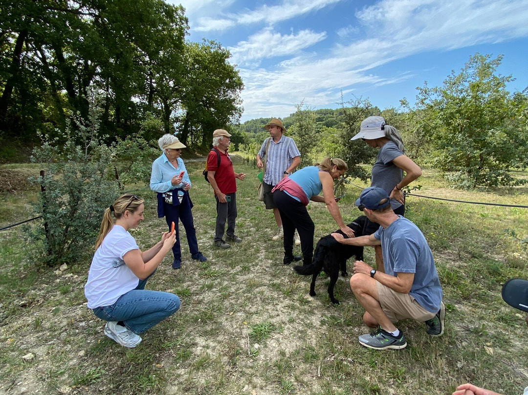 Truffle Hunting at Les Pastras-Cadenet必去景点