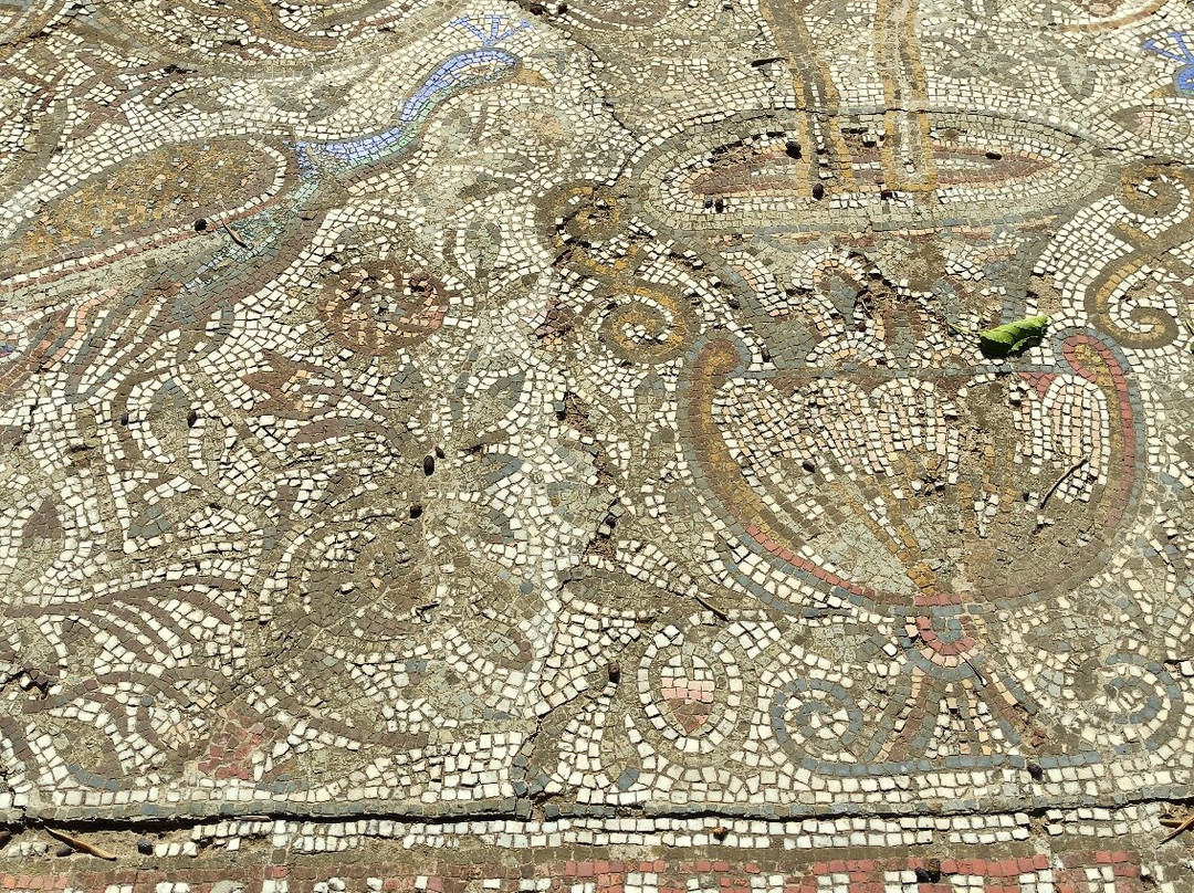 Musee Public National de Cherchell-Cherchell必去景点