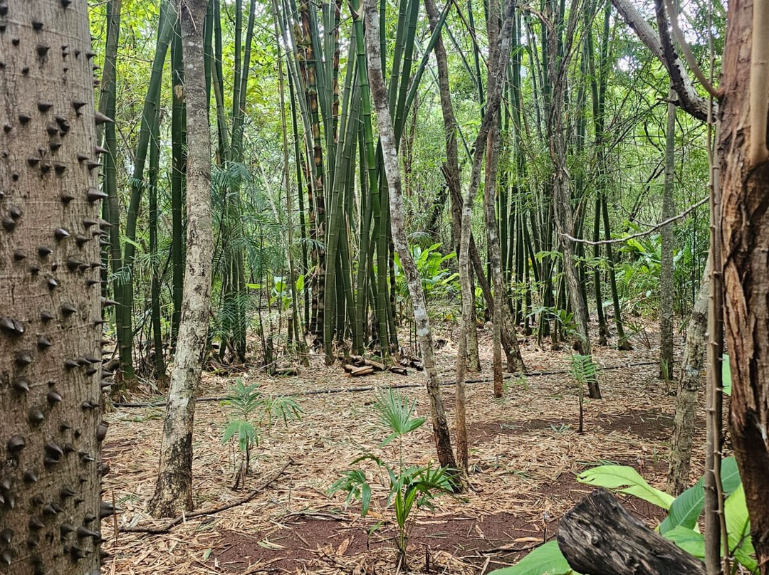 Choco Story uxmal-乌科斯玛必去景点