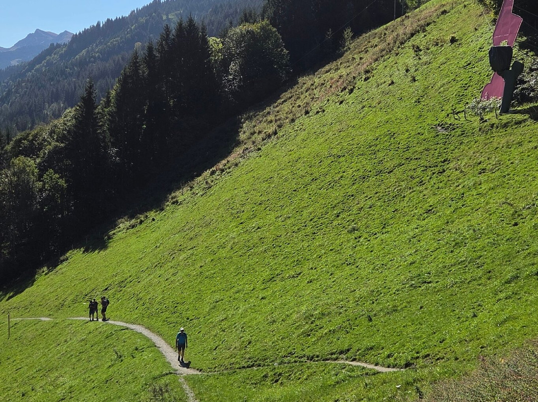 Streif-Wanderweg-基茨比厄尔必去景点