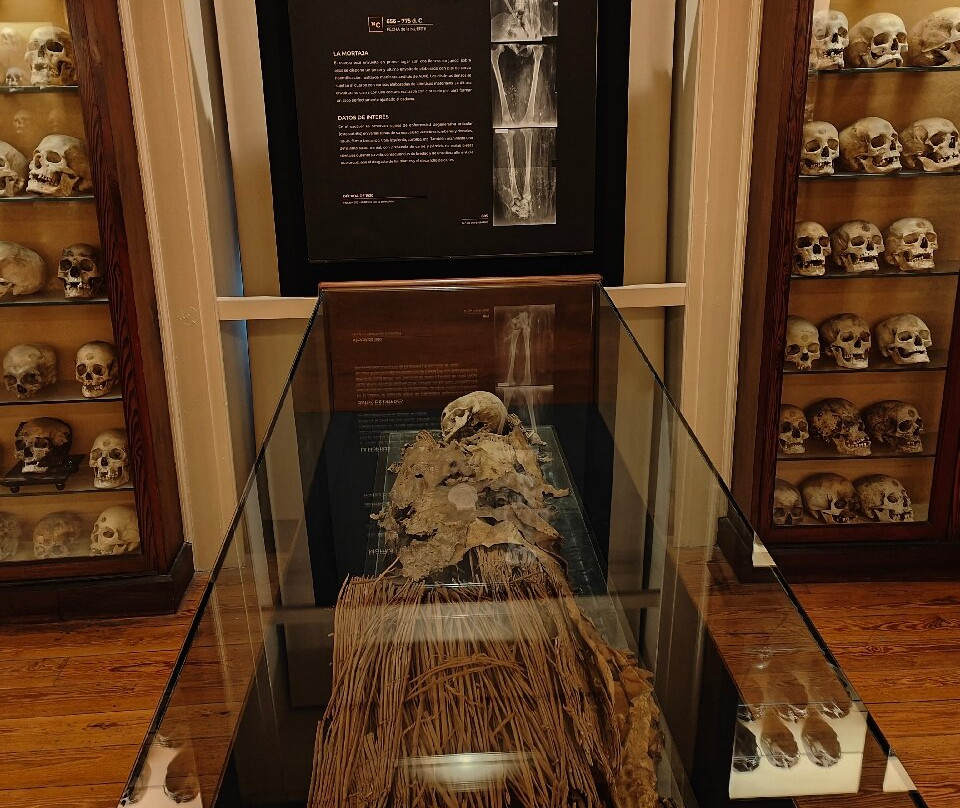 El Museo Canario-大加那利岛拉斯帕尔马斯必去景点