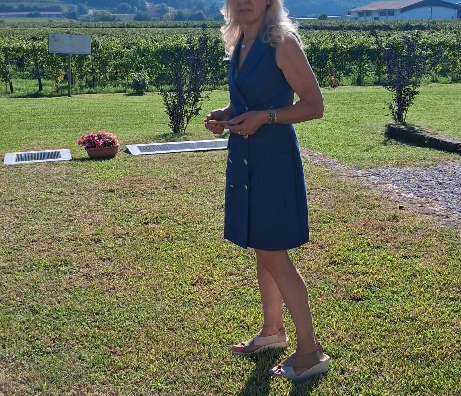 Azienda Agricola Vicentini Agostino-Colognola ai Colli必去景点