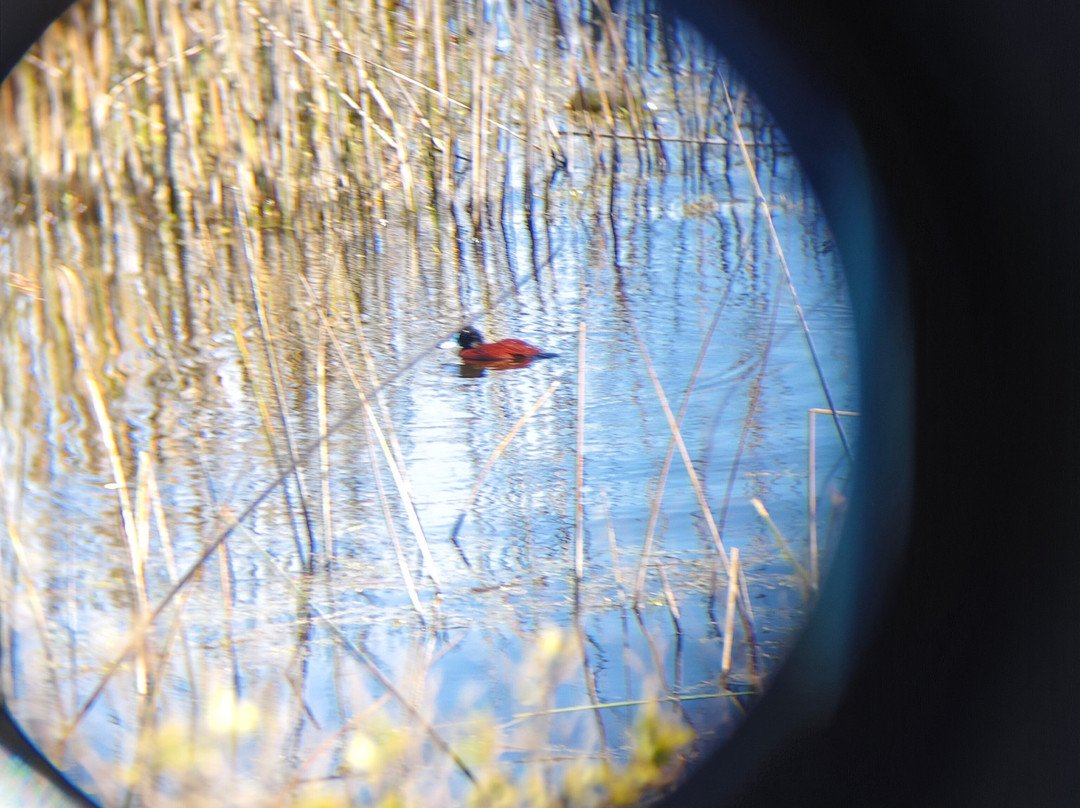 Posada del Parque主图
