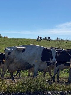 Chase Farm Bakery-Whitefield必去景点