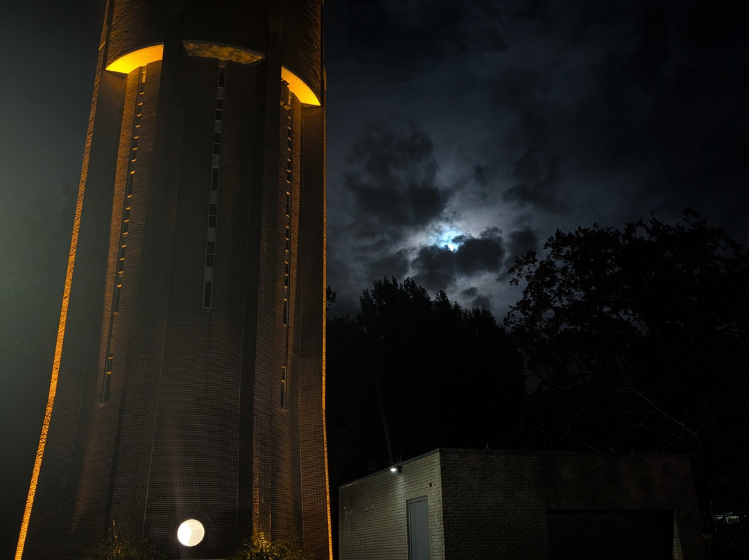 Watertoren Tiel (1946)-蒂尔必去景点