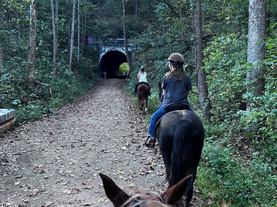 Uncle Buck's Riding Stable-New Marshfield必去景点