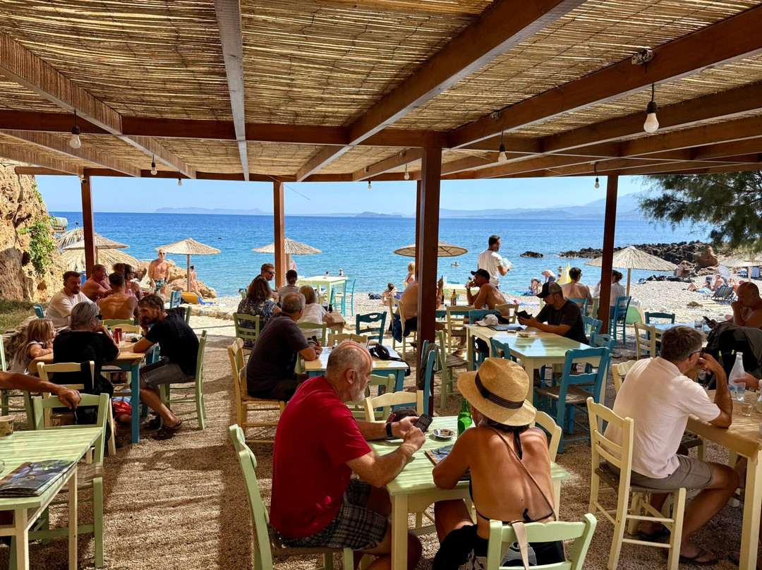 Royal Octopus DIVE CENTER-Kolymbari必去景点