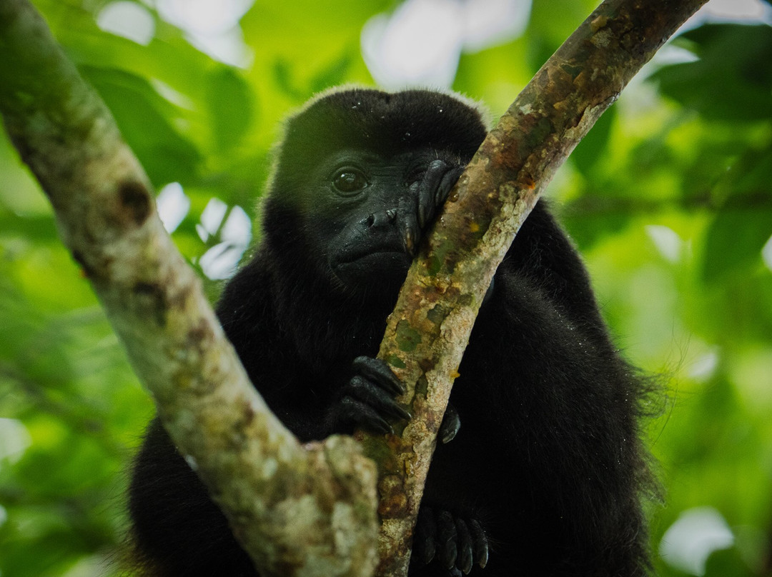 Panama Road Trips-巴拿马城必去景点