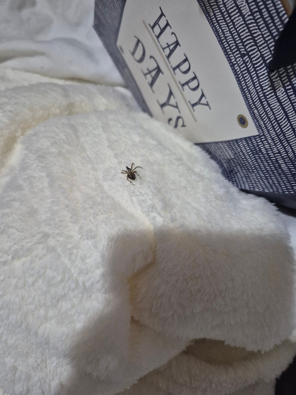 Sunrise All Suites Resort-官方