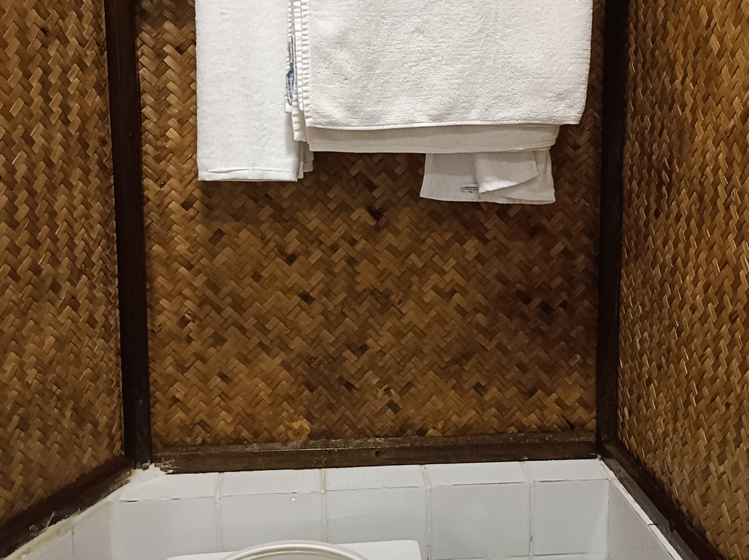 哈夫洛克赤脚酒店主图