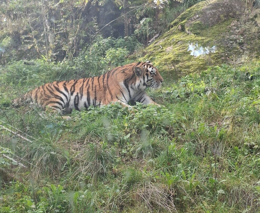 Korkeasaari Zoo-赫尔辛基必去景点