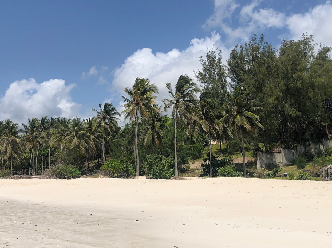 Michamvi Beach-米查维必去景点