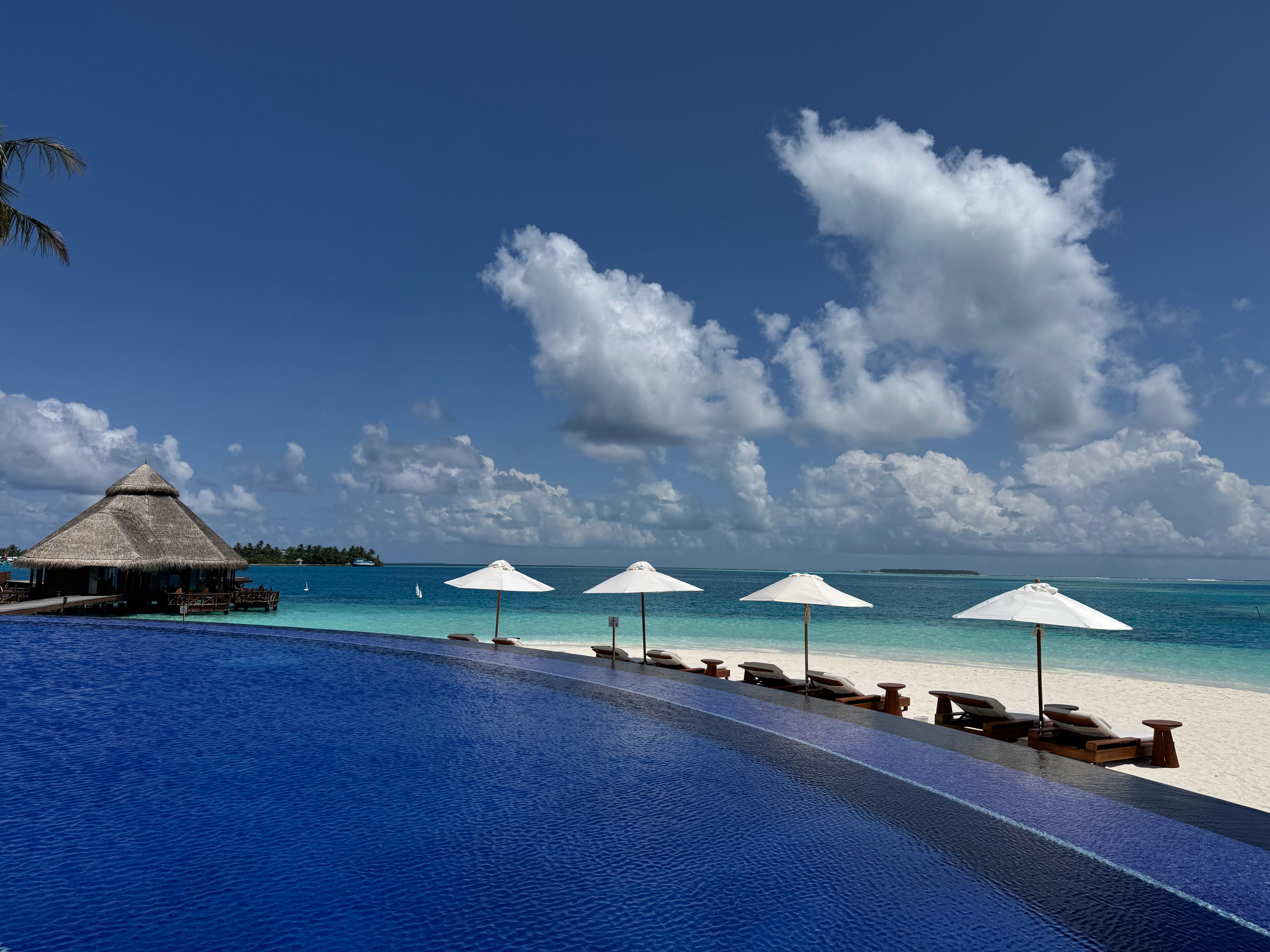 马尔代夫港丽度假酒店-泳池