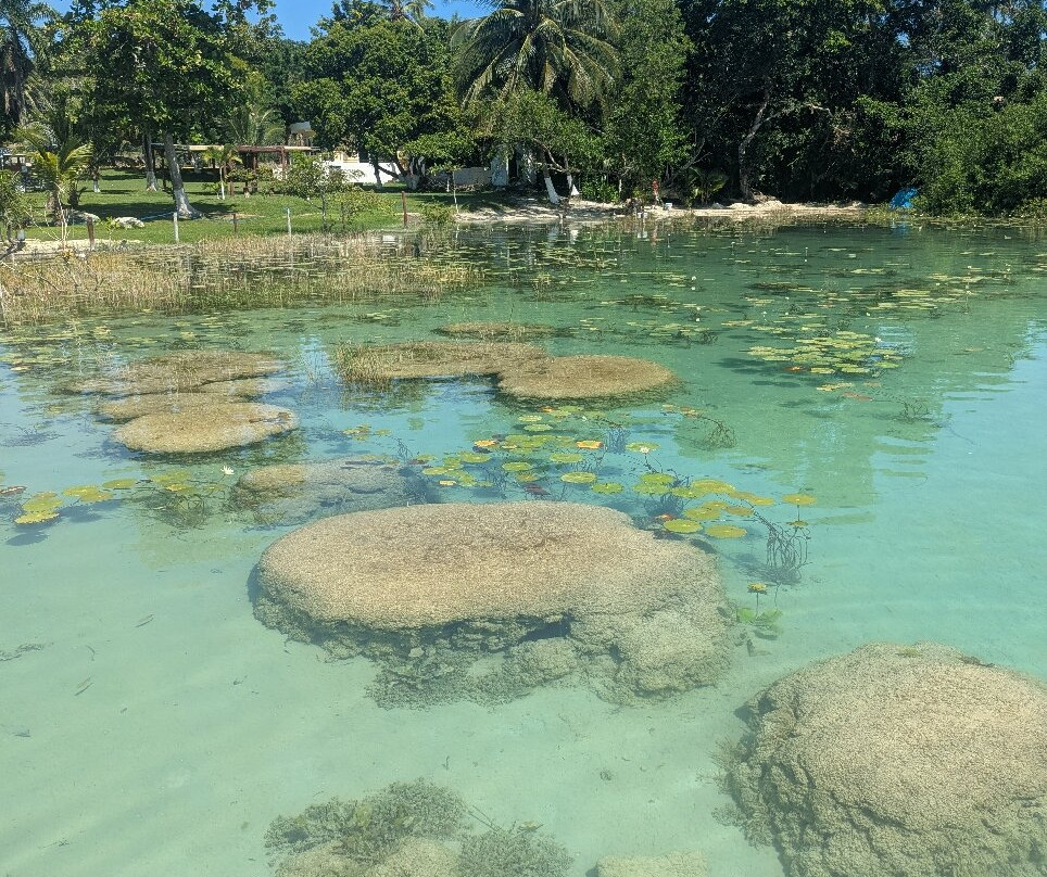 Cenote Cocalitos-Bacalar必去景点