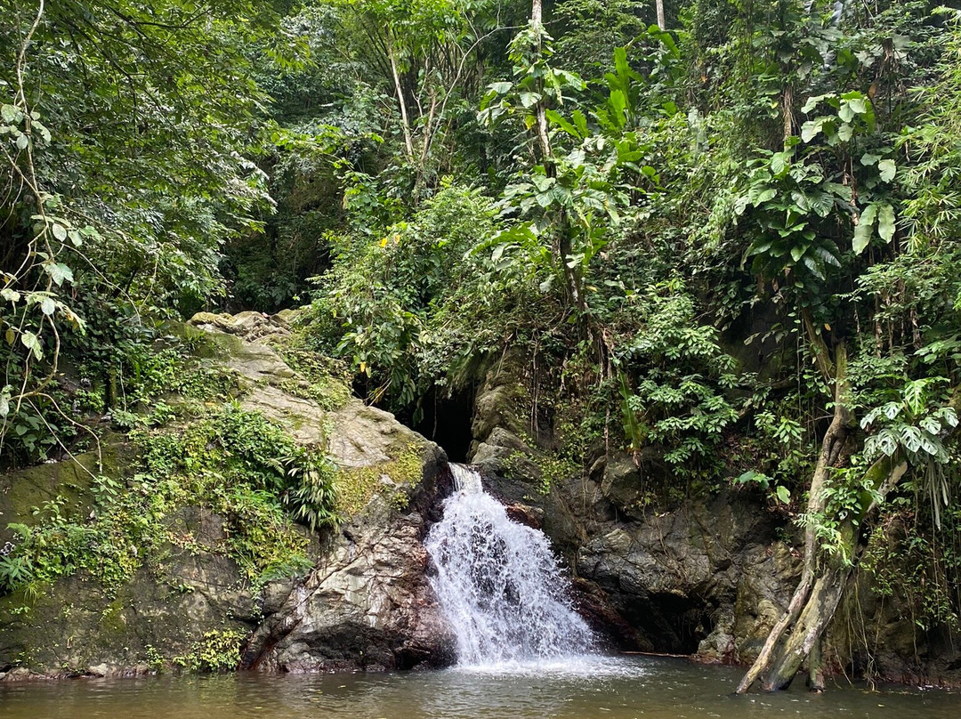 Woody Tours Tobago-Mason Hall必去景点