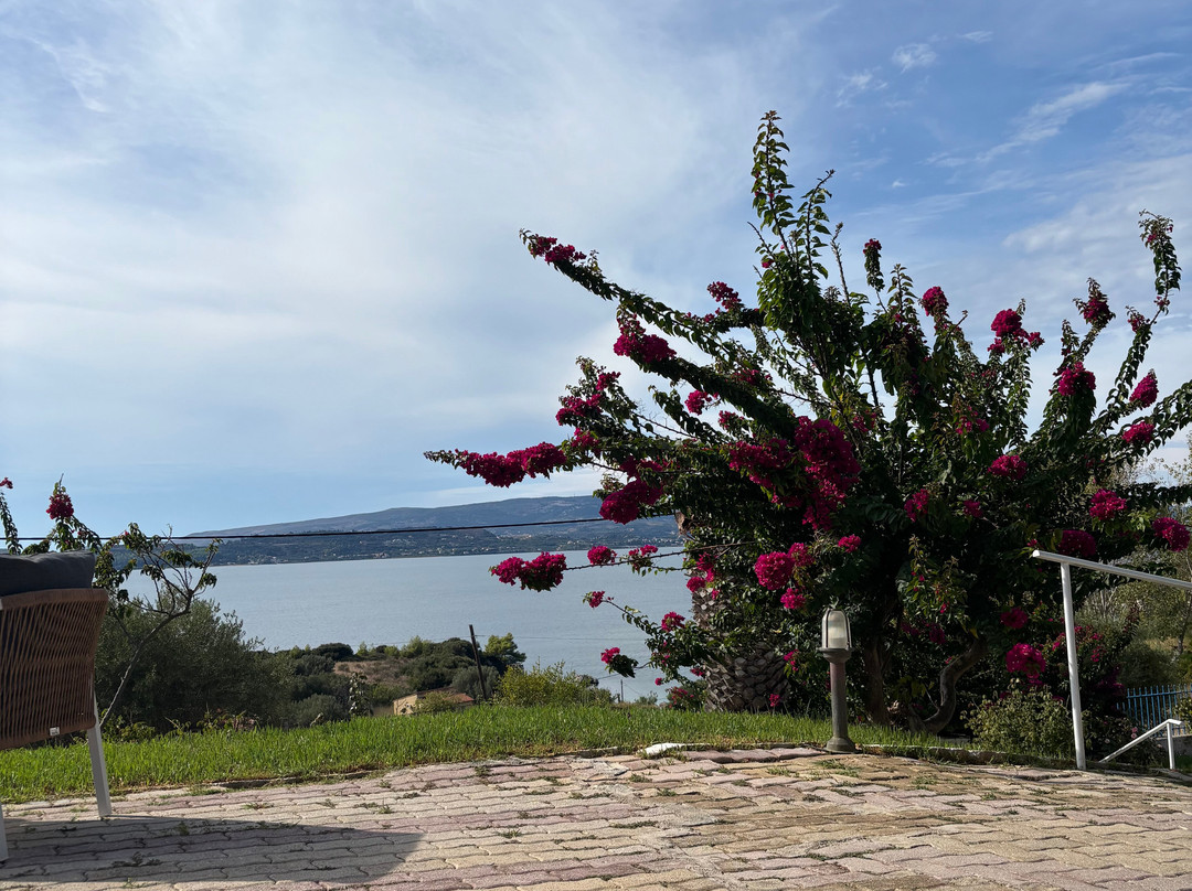 Metaxatos Apartments主图