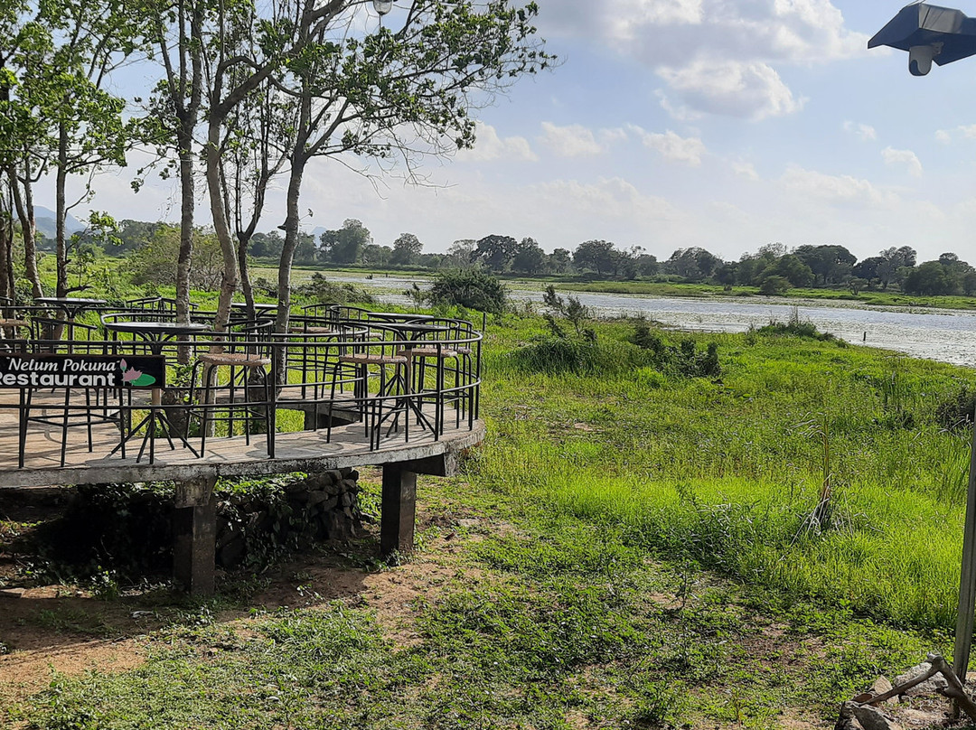 Lanka Travel Bee-尼甘布必去景点