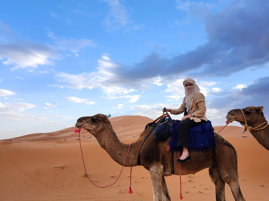 Morocco Travel Organizer-非斯必去景点