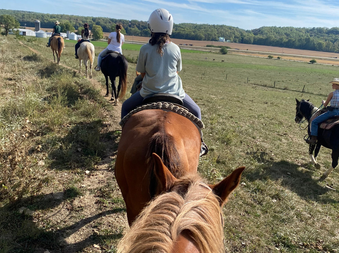 Marmon Valley Farm-Zanesfield必去景点
