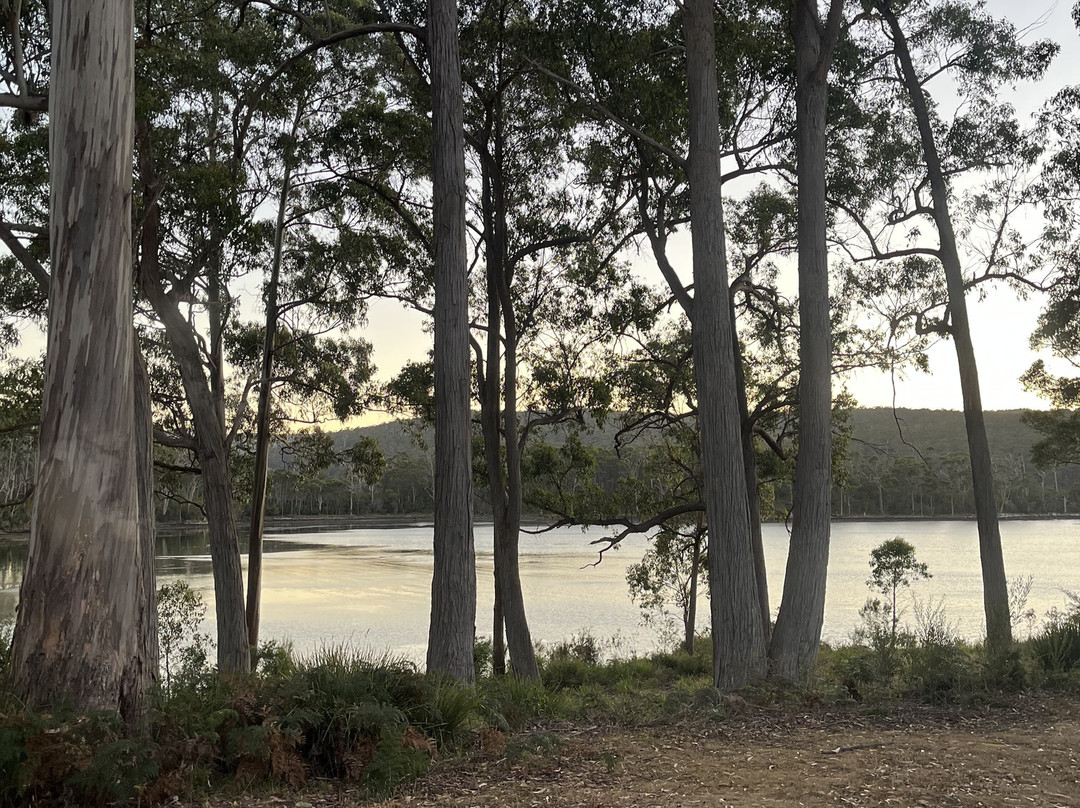 狐狸和猎犬酒店主图