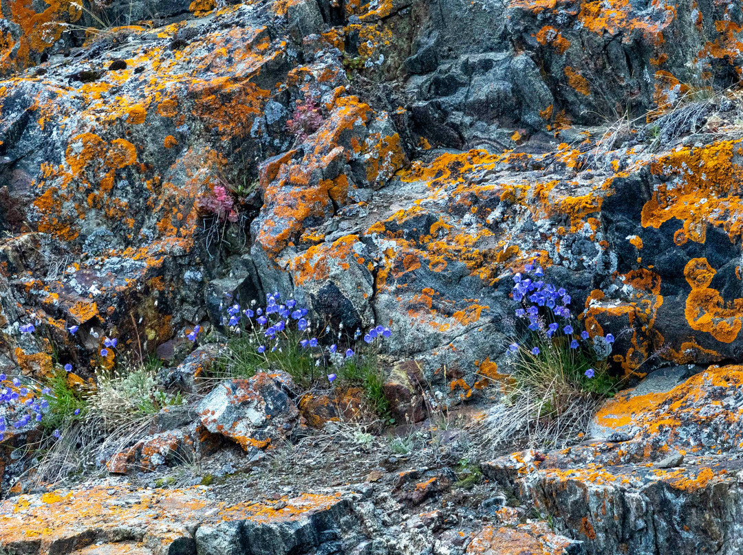 Sisimiut Museum-Sisimiut必去景点